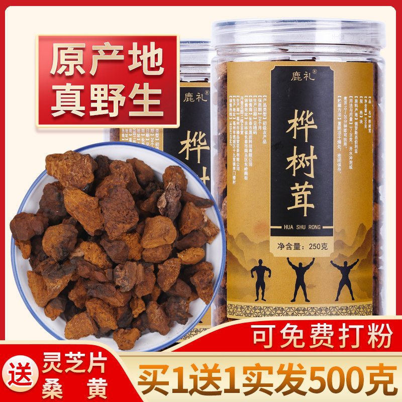 Birch Rust Tea White Birch Natural Insulin Non-Russian Siberia Imported Non-Wild Super Powder