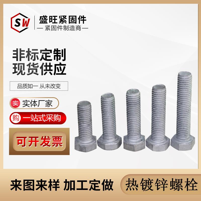 8.8 Grade Hot-Dip Galvanized External Hexagonal Bolts for Photovoltaic Power Outdoor Use M8M10M12M14M16M18-M36 Set