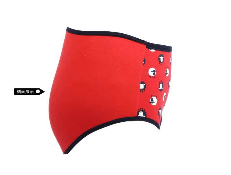 Slip ANNPHIA P155 en coton - Ref 646219 Image 11