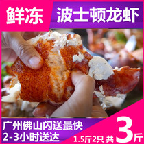 Frozen Boston lobster 3 pounds live lobster Australian lobster chilled seafood aquatic shrimp weighing and pricing