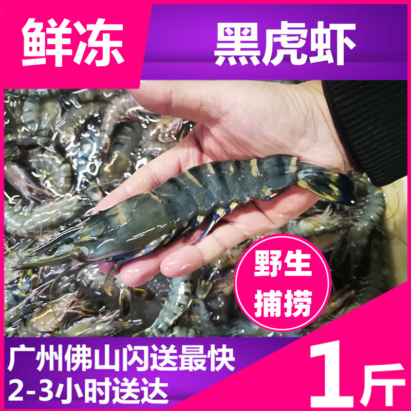 (Frozen black tiger prawns) Tiger prawns prawns