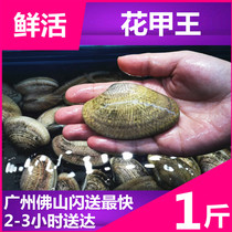 (Order flower armor king in advance)Clams fresh clams Clam sea catch seafood aquatic fresh 500g shellfish flower armor