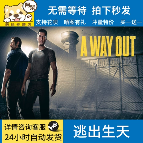 ПК искренний пара выход на выход из рождения брата: легенда Близнецов Ачай цифровой