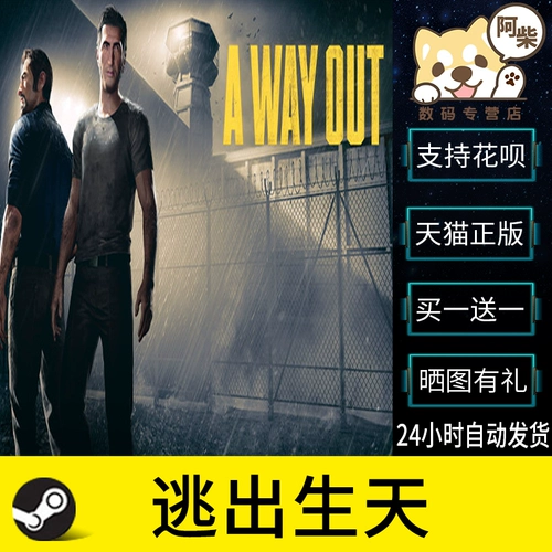 ПК искренний пара выход на выход из рождения брата: легенда Близнецов Ачай цифровой