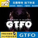 ПК искренняя китайская игра Steam Game GTFO Compopere Shooperation Game Выживание выживания