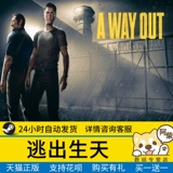 ПК искренний пара выход на выход из рождения брата: легенда Близнецов Ачай цифровой