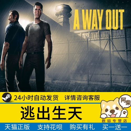 ПК искренний пара выход на выход из рождения брата: легенда Близнецов Ачай цифровой