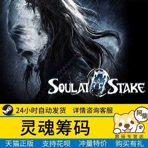 ПК искренний паровой китайский китайский соул Чип Чип Соул на карту