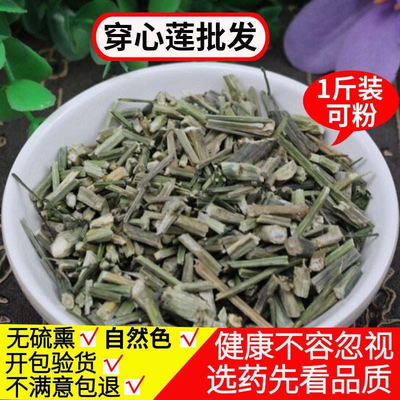Andrographis Chinese herbal medicine Andrographis 500g, andrographis powder