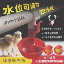 Automatic chicken chicken seedling water cup bowl drinking goose brood water bowl drinking water New water cup Animal husbandry breeding equipment