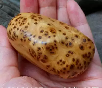 Taihang cliff Cypress tumor flower tumor scar hand handle piece with type text play pendant pendant sweater refining root carving wood carving