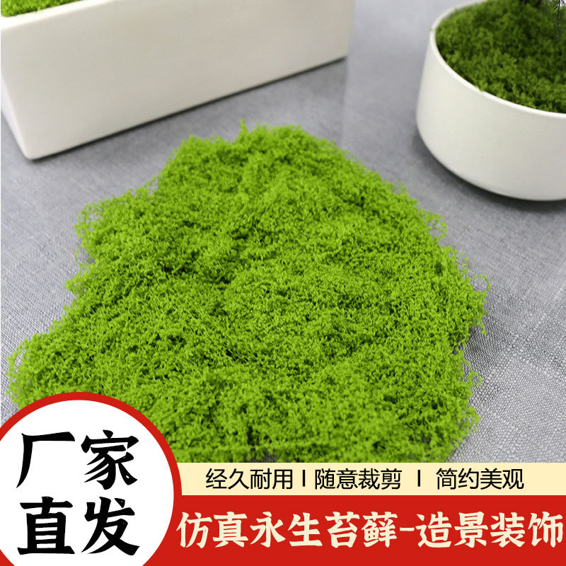 Simulated Moss Turf Landscaping Green Plants Micro-Landscape Desktop Potted Plant Decoration Ornaments Bionic Moss Filamentous Fake Moss