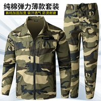 Желтый цвет