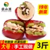 Yishanyuan Hug fruit 1500g Xinjiang jujube with walnuts and raisins 3 pounds of red jujube with walnuts