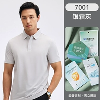 7001 Серебряный морозный зола