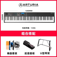 88 Black+педаль+полка (полузащитный вес)