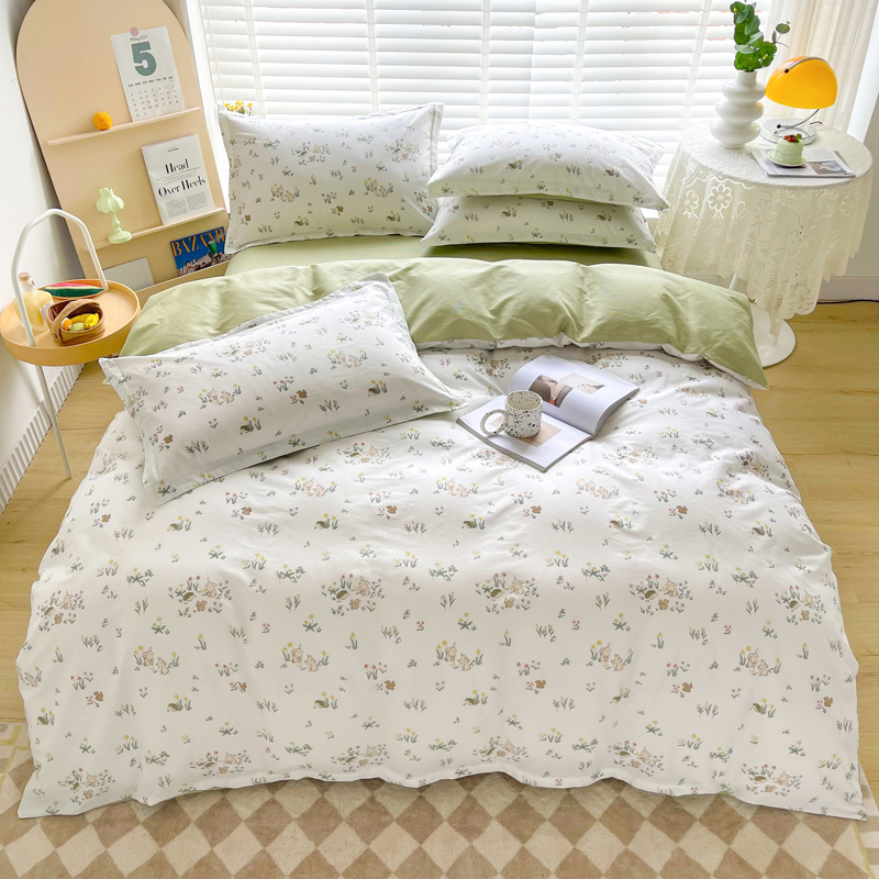 Spring and summer new minimalist minimalist cotton four piece network red small fresh patrimony four season bedbed