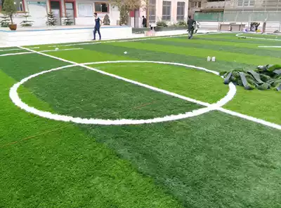 White grass artificial grass football field function line dash filling White Grass Field Special lawn football field repair White Grass