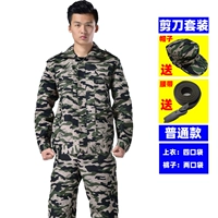 Ножницы, комплект, шапка, ремень