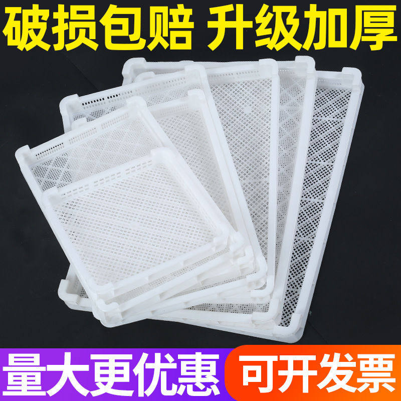 Plastic single freeware frozen pan aqua drying tray cold storage drying plastic basket drying basket drying dish food baking room