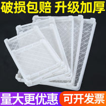 Plastic single freeware frozen pan aqua drying tray cold storage drying plastic basket drying basket drying dish food baking room