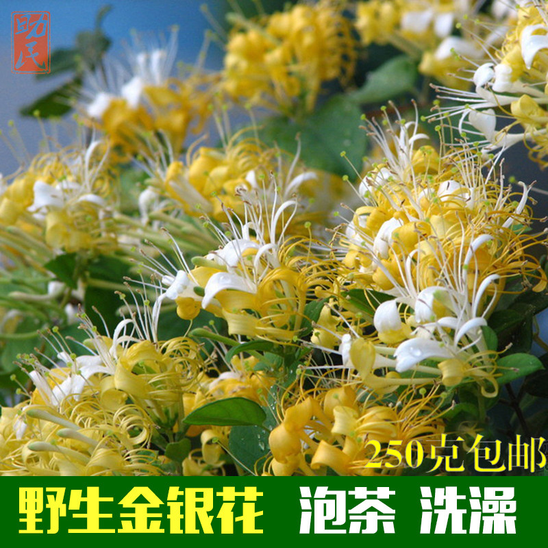 Guangxi wild honeysuckle bulk bagged children's baby bath sulfur-free honeysuckle natural cool sun 250g