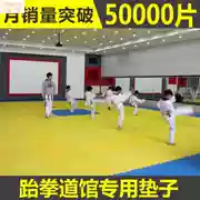 Taekwondo bọt chuyên nghiệp dày 1 m dày mật độ cao 2.5 3.0 võ thuật luyện tập khâu mat