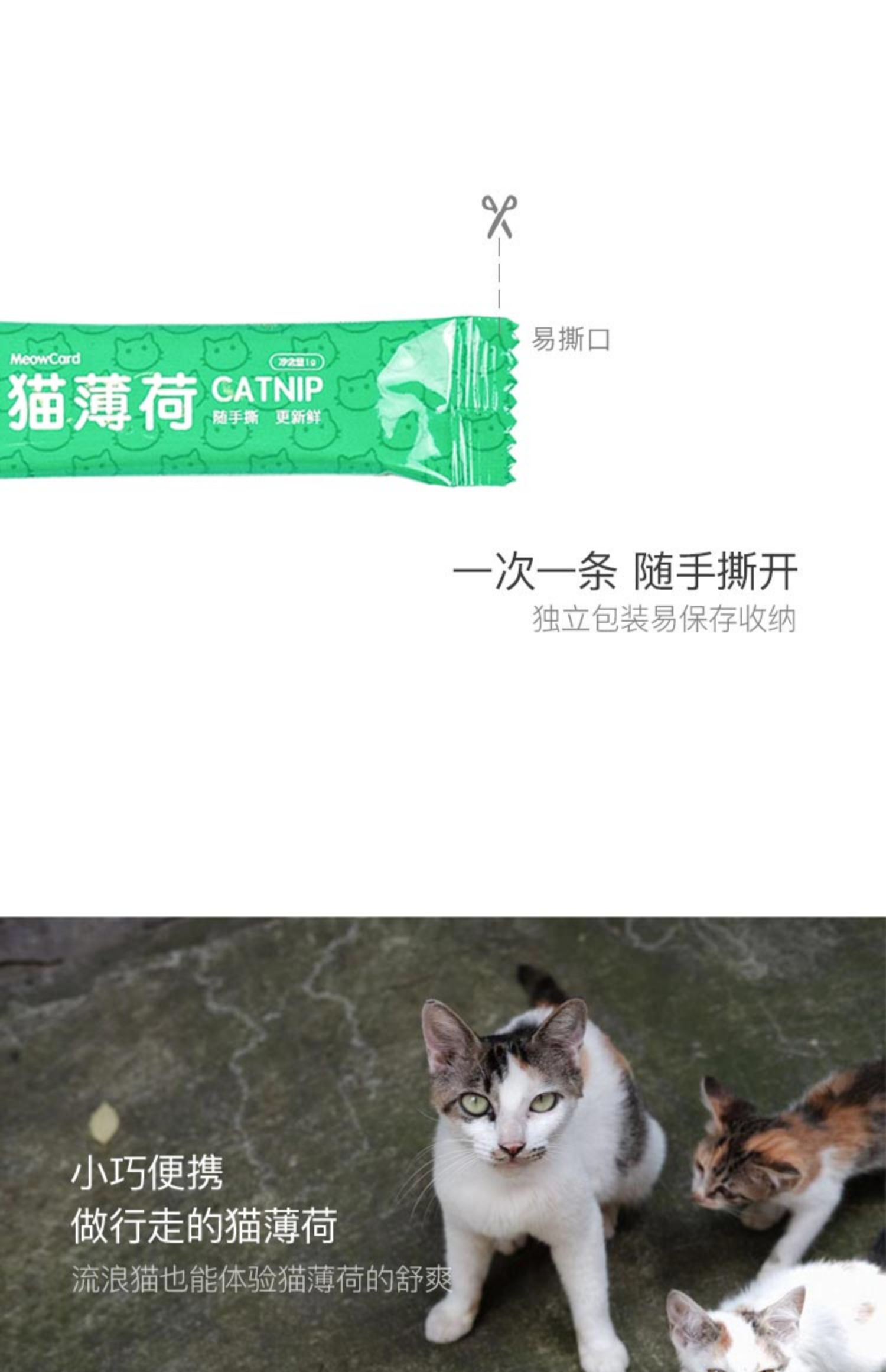 Meowcard catnip dải mèo thẻ mèo cỏ giải nén độc lập đồ chơi nhổ bóng đồ ăn nhẹ mèo hài hước - Đồ ăn nhẹ cho mèo cá hộp