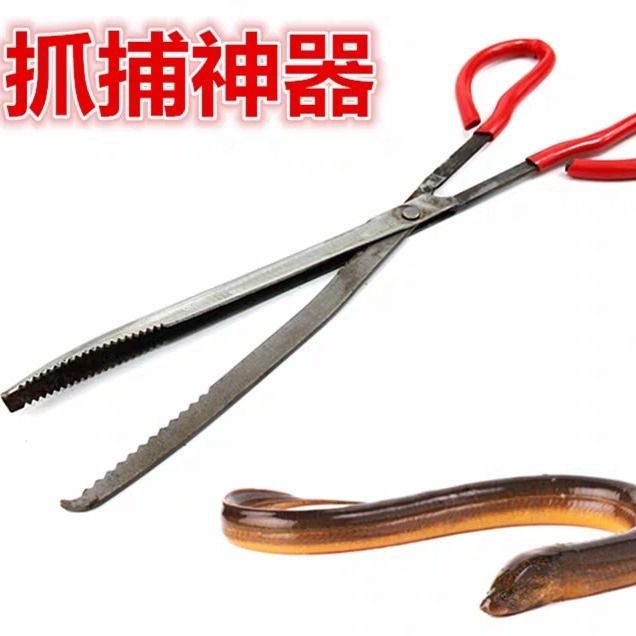 Eel clip eel pliers catch fish loach crab clip pliers anti-slip artifact catch control special tool lengthen to catch the sea
