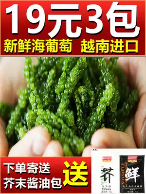 Net red recommended sea grapes 300g fresh ready-to-eat sea cabbage salted marine vegetables green caviar longevity