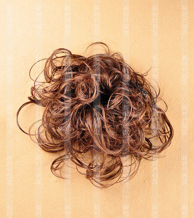 Extension cheveux - Chignon - Ref 248443 Image 21