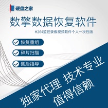 H264 Data Recovery Software Monitoring Video with Debris Reconstruction Functional Software Personal Disposable Version