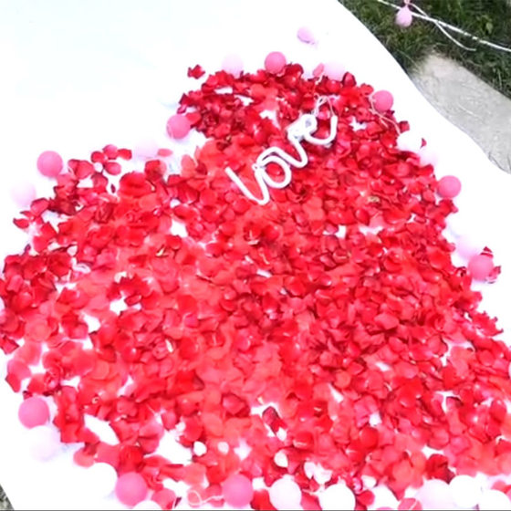 Simulation petals fake petals rose wedding confession hand scattered flower decoration wedding wedding wedding room romantic room layout