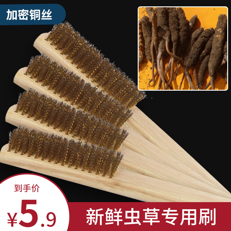 Steel wire brushed fresh caterpillar fungus Caterpillar Fungus Cleaned Mud Brush with Brush Stainless Steel Brushed Rust Removal Stains Steel Hairbrush