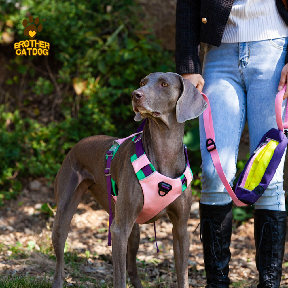 2022 new pet breast-holding baby bag explosion-proof punching vest-type dog traction rope large and medium-sized dog holding baby bag