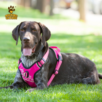 Dog Traction Rope Chest Back Type Walking Dog Rope Adjustable Kirkedubin Chai Dog Gold Wool Mid Sized Dog Chest Harness