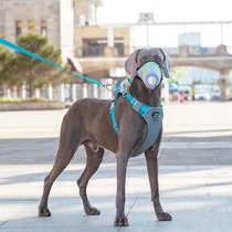 Pet dedicated anti-virus anti-pick and anti-biting anti-bite called teddy Bears bully dog Depasture Shepherd dog mouth cover