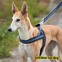 Dog braces for chest braces outside anti-escape dog running traction rope comfortable without leash dog rope dog chain