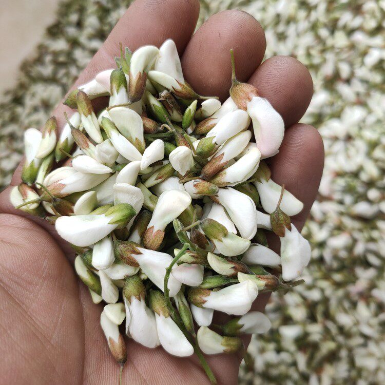 沂蒙山三嫂农家特产