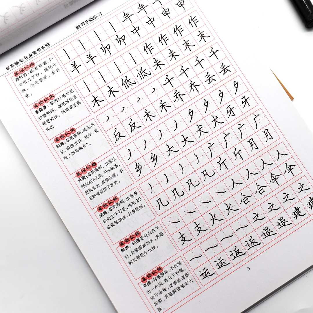 李放鸣钢笔字帖小学生专用正楷书入门二三四五六年级英语练字贴本