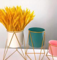 Home vase balcony window rice table Dry Branch decoration shooting props display opening barley dried flowers