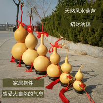 Pure natural Wenplay big gourd with the faucet five emperors money to recruit wealth pendants feng shui evil town house furnishings process
