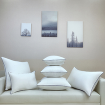 Pillow core cushion core 45 50 55 6065 sofa Pillow square Pillow bedside custom Pillow core