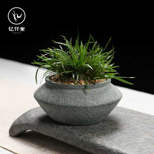 Yiqianke Сочный креативный цветочный горшок в горшке со спаржей из бамбука, труба для денег, набор дзен-каменных пейзажей, комбинация с подносом