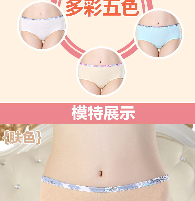 Slip jeunesse ADZL0063 en coton - Ref 665978 Image 12