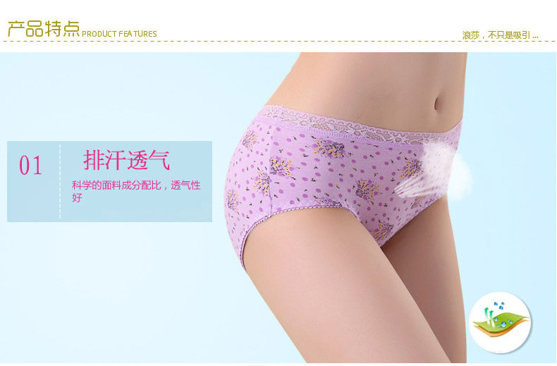 Slip jeunesse ADMK3066-2 en coton - Ref 666010 Image 11