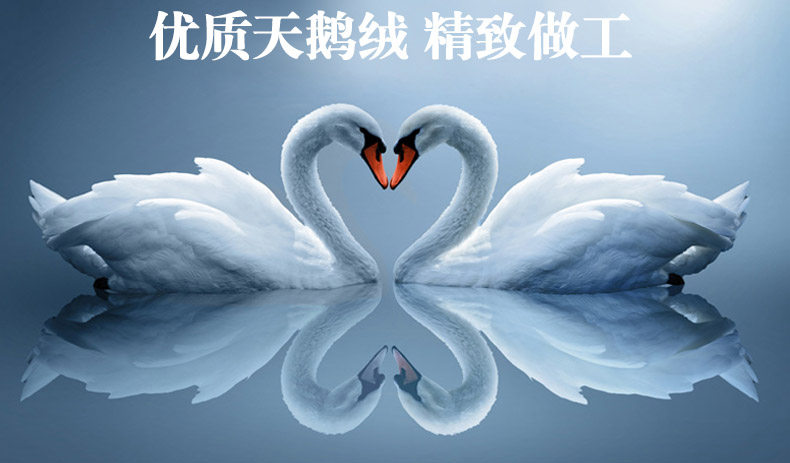 Chaussettes - collants ADPE6256 - Ref 778738 Image 9