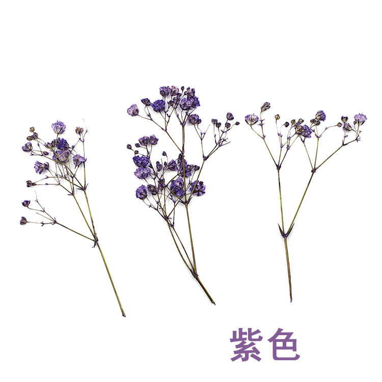 Crystal Epoxy nhánh dài đầy sao khô hoa ép hoa dập nổi handmade vòng tay DIY vật liệu trang sức phụ kiện - Vòng đeo tay Cuff vòng gỗ trầm hương