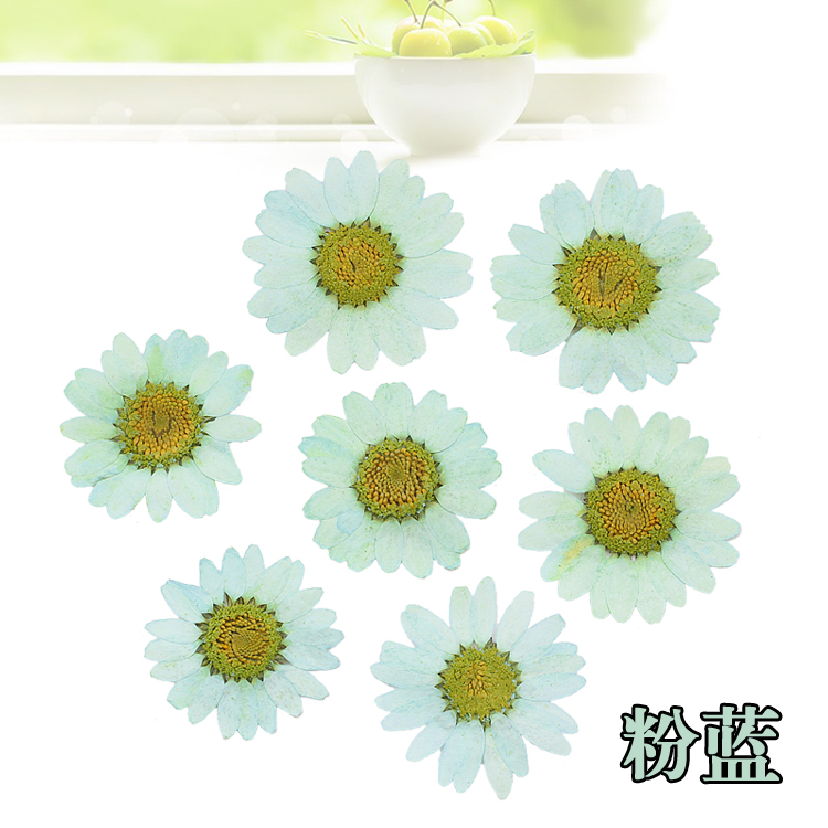 Crystal Chrysanthemum dập nổi Epoxy Bracelet Hoa khô Thời gian Đá quý Mặt dây chuyền Hướng dẫn DIY Chất liệu Trang sức Phụ kiện - Vòng đeo tay Cuff vòng tay đá