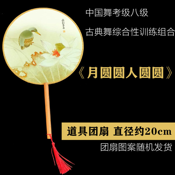 문화 관광부 재능 센터 중국 댄스 미술 시험 레벨 8 문 라운드 맨 라운드 클래식 댄스 극단 팬